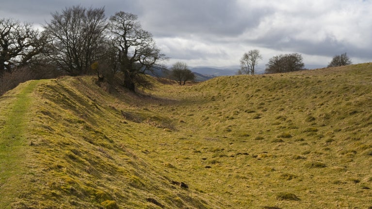 A grassy slope topped with trees at Croft Ambrey Iron Age hillfort Herefordshire